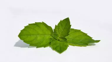 garnishing-instructions-image